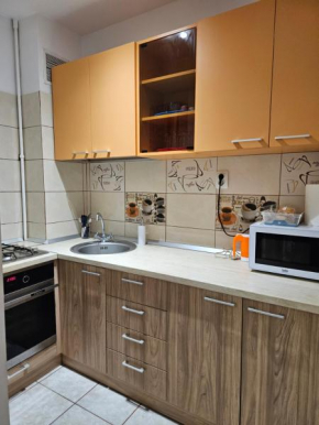 Cozy Studio Coresi